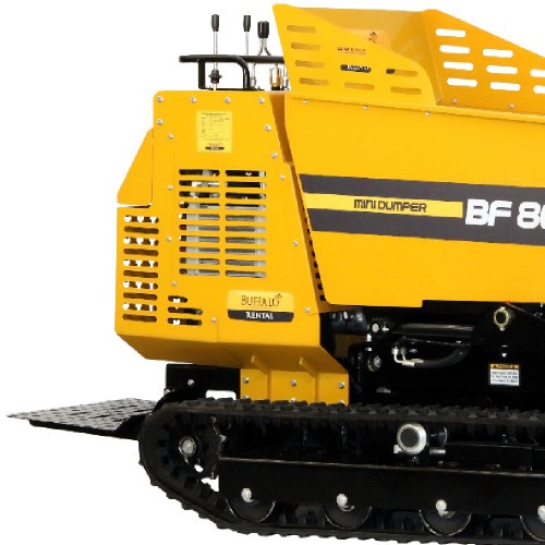 Carro Mini dumper a gasolina 16 hp com capacidade de 500 kg - BF 800
