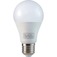 202737_lampada_led_bulbo_9_watts_branca_bivolt