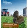 322663_botina_em_couro_nobuck_com_cadarco_marrom_londrina_ob_sra