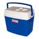 Caixa t�rmica 34 litros - CXT0334